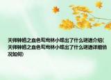 天師鐘馗之血色鴛鴦林小蝶出了什么謎語介紹(天師鐘馗之血色鴛鴦林小蝶出了什么謎語詳細情況如何)