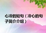 心冷的短句（冷心的句子簡介介紹）