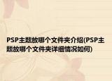 PSP主題放哪個(gè)文件夾介紹(PSP主題放哪個(gè)文件夾詳細(xì)情況如何)