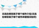 北海在哪里屬于哪個(gè)城市介紹(北海在哪里屬于哪個(gè)城市詳細(xì)情況如何)