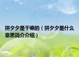拼夕夕是干嘛的（拼夕夕是什么意思簡(jiǎn)介介紹）