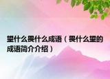 望什么畏什么成語（畏什么望的成語簡介介紹）