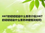HKT的錯錯錯是什么意思介紹(HKT的錯錯錯是什么意思詳細情況如何)