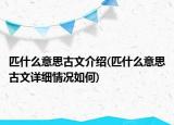 匹什么意思古文介紹(匹什么意思古文詳細(xì)情況如何)