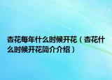 杏花每年什么時候開花（杏花什么時候開花簡介介紹）