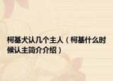 柯基犬認幾個主人（柯基什么時候認主簡介介紹）
