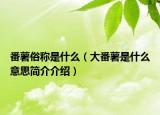 番薯俗稱是什么（大番薯是什么意思簡(jiǎn)介介紹）