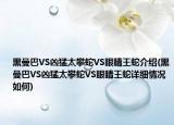 黑曼巴VS兇猛太攀蛇VS眼睛王蛇介紹(黑曼巴VS兇猛太攀蛇VS眼睛王蛇詳細情況如何)