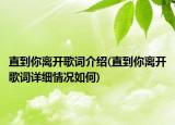 直到你離開(kāi)歌詞介紹(直到你離開(kāi)歌詞詳細(xì)情況如何)