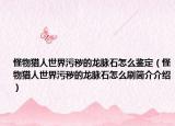 怪物獵人世界污穢的龍脈石怎么鑒定（怪物獵人世界污穢的龍脈石怎么刷簡介介紹）