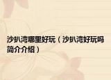 沙扒灣哪里好玩（沙扒灣好玩嗎簡介介紹）