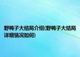 野鴨子大結(jié)局介紹(野鴨子大結(jié)局詳細(xì)情況如何)