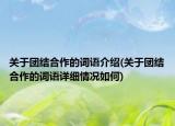 關(guān)于團(tuán)結(jié)合作的詞語介紹(關(guān)于團(tuán)結(jié)合作的詞語詳細(xì)情況如何)