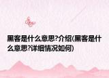 黑客是什么意思?介紹(黑客是什么意思?詳細情況如何)