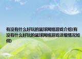 有沒有什么好玩的籃球網(wǎng)絡游戲介紹(有沒有什么好玩的籃球網(wǎng)絡游戲詳細情況如何)