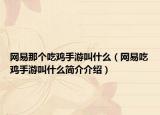 網(wǎng)易那個(gè)吃雞手游叫什么（網(wǎng)易吃雞手游叫什么簡介介紹）