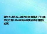哪里可以看2016歐洲杯直播頻道介紹(哪里可以看2016歐洲杯直播頻道詳細(xì)情況如何)