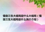 情定三生大結(jié)局是什么大結(jié)局（情定三生大結(jié)局是什么簡(jiǎn)介介紹）