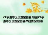 CF手游怎么設(shè)置空白名介紹(CF手游怎么設(shè)置空白名詳細(xì)情況如何)