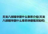 天龍八部精華版什么意思介紹(天龍八部精華版什么意思詳細情況如何)