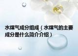 水煤氣成分組成（水煤氣的主要成分是什么簡介介紹）