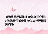 lol狗頭警用試作體k9怎么樣介紹(lol狗頭警用試作體k9怎么樣詳細(xì)情況如何)