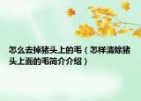 怎么去掉豬頭上的毛（怎樣清除豬頭上面的毛簡介介紹）