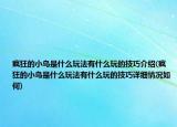 瘋狂的小鳥(niǎo)是什么玩法有什么玩的技巧介紹(瘋狂的小鳥(niǎo)是什么玩法有什么玩的技巧詳細(xì)情況如何)