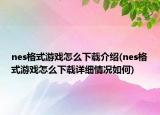 nes格式游戲怎么下載介紹(nes格式游戲怎么下載詳細(xì)情況如何)