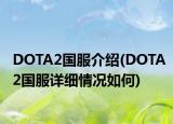 DOTA2國服介紹(DOTA2國服詳細情況如何)
