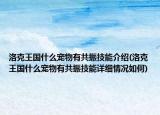 洛克王國什么寵物有共振技能介紹(洛克王國什么寵物有共振技能詳細情況如何)