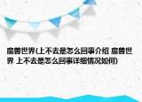 魔獸世界(上不去是怎么回事介紹 魔獸世界 上不去是怎么回事詳細(xì)情況如何)