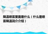 降溫噴霧里面是什么（什么是噴霧降溫簡介介紹）