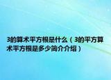 3的算術(shù)平方根是什么（3的平方算術(shù)平方根是多少簡(jiǎn)介介紹）