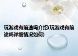 玩游戲有前途嗎介紹(玩游戲有前途嗎詳細(xì)情況如何)