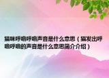 貓咪呼嚕呼嚕聲音是什么意思（貓發(fā)出呼嚕呼嚕的聲音是什么意思簡介介紹）