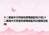 十二星座中天秤座和摩羯座配嗎介紹(十二星座中天秤座和摩羯座配嗎詳細(xì)情況如何)