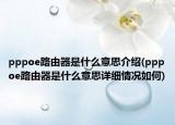 pppoe路由器是什么意思介紹(pppoe路由器是什么意思詳細(xì)情況如何)