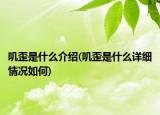 嘰歪是什么介紹(嘰歪是什么詳細(xì)情況如何)