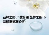 叢林之狐(下載介紹 叢林之狐 下載詳細情況如何)