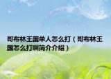 哥布林王國單人怎么打（哥布林王國怎么打啊簡介介紹）