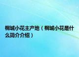 桐城小花主產(chǎn)地（桐城小花是什么簡介介紹）