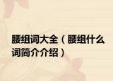 腰組詞大全（腰組什么詞簡(jiǎn)介介紹）