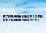 裙子顏色是白金還是藍(lán)黑（藍(lán)黑白金裙子科學(xué)解釋是啥簡(jiǎn)介介紹）