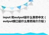 input 和output是什么意思中文（output接口是什么意思簡介介紹）