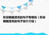 形容眼睛漂亮的句子有哪些（形容眼睛漂亮的句子簡(jiǎn)介介紹）