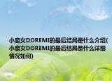 小魔女DOREMI的最后結(jié)局是什么介紹(小魔女DOREMI的最后結(jié)局是什么詳細情況如何)