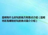 昆明有什么好玩的地方和景點介紹（昆明市區(qū)有哪些好玩的景點簡介介紹）