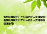 俄羅斯海豚音王子Vitas的個人資料介紹(俄羅斯海豚音王子Vitas的個人資料詳細情況如何)