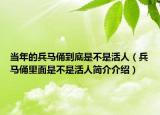 當(dāng)年的兵馬俑到底是不是活人（兵馬俑里面是不是活人簡(jiǎn)介介紹）